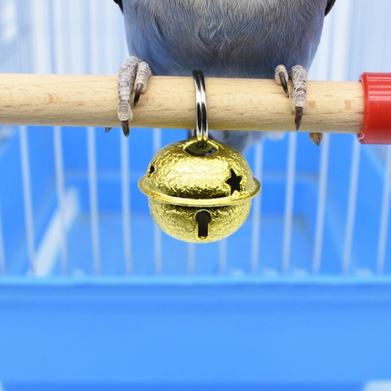 Bird Swing Toys