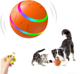 Smart Pet Play Ball with Remote Control