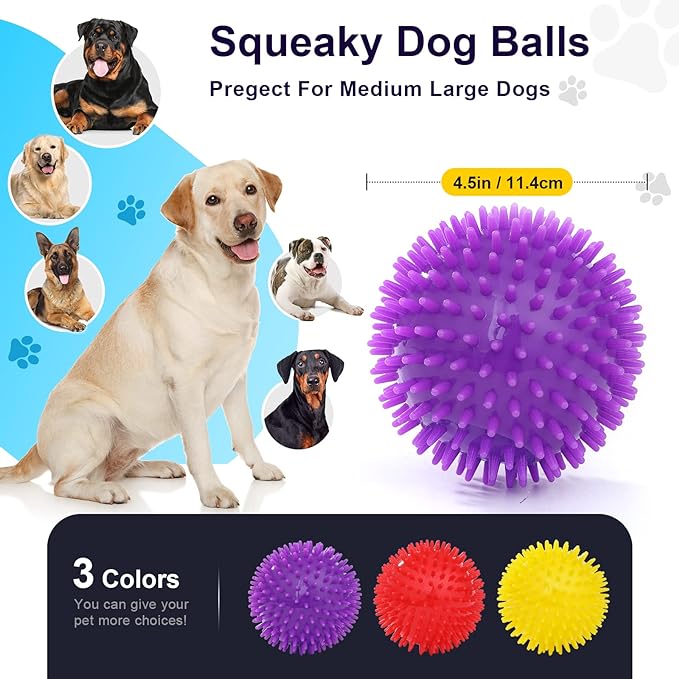 Squeaky Dog Toy Balls