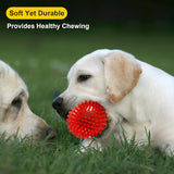 Squeaky Dog Toy Balls