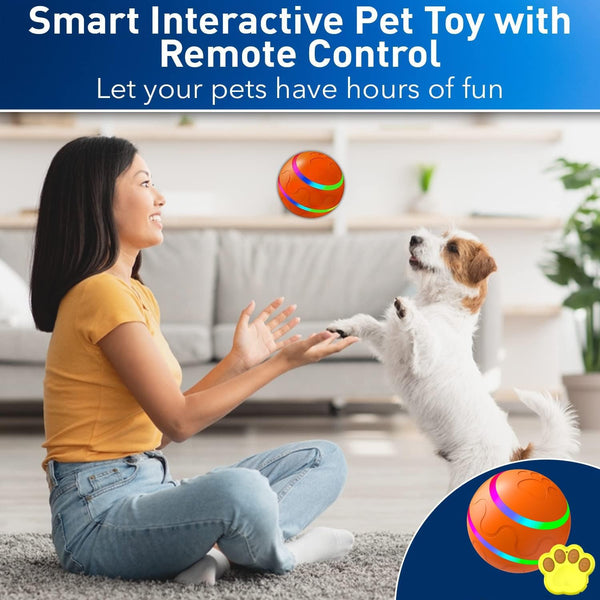 Smart Pet Play Ball with Remote Control