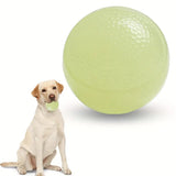 Glow Ball Dog Toy