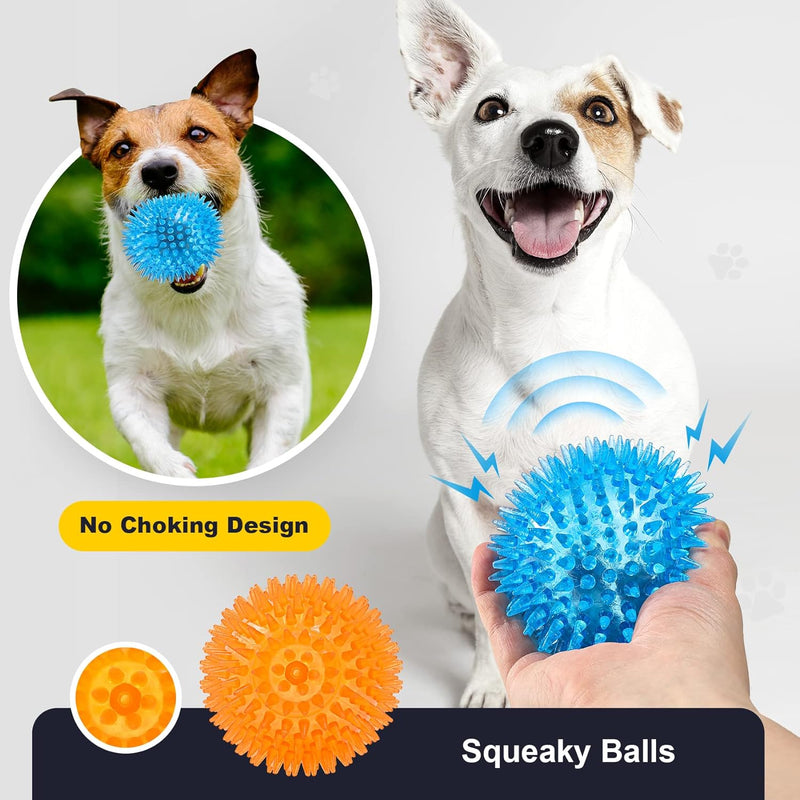 Squeaky Dog Toy Balls