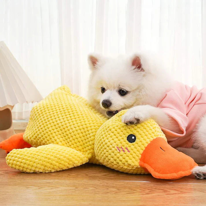 🔥Last Day Sale 50% OFF✨😸Best Friends Calming Duck Toy🐶