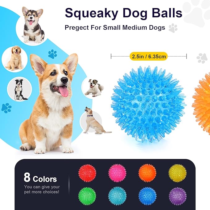 Squeaky Dog Toy Balls