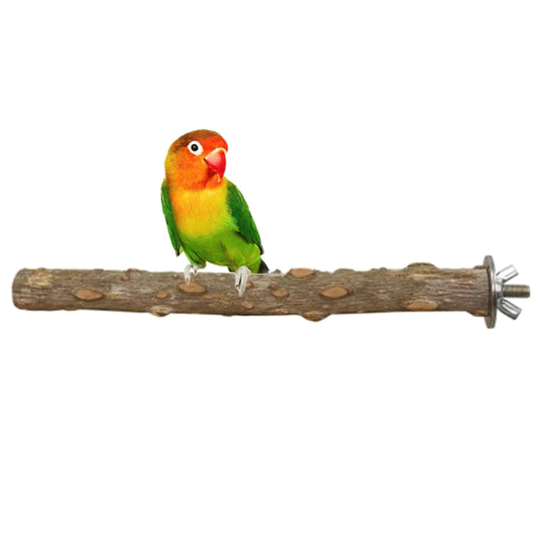 4 Piece Bird Chew Toy