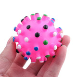 Ball Squeaky Toy