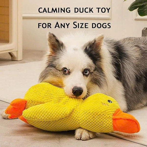 🔥Last Day Sale 50% OFF✨😸Best Friends Calming Duck Toy🐶